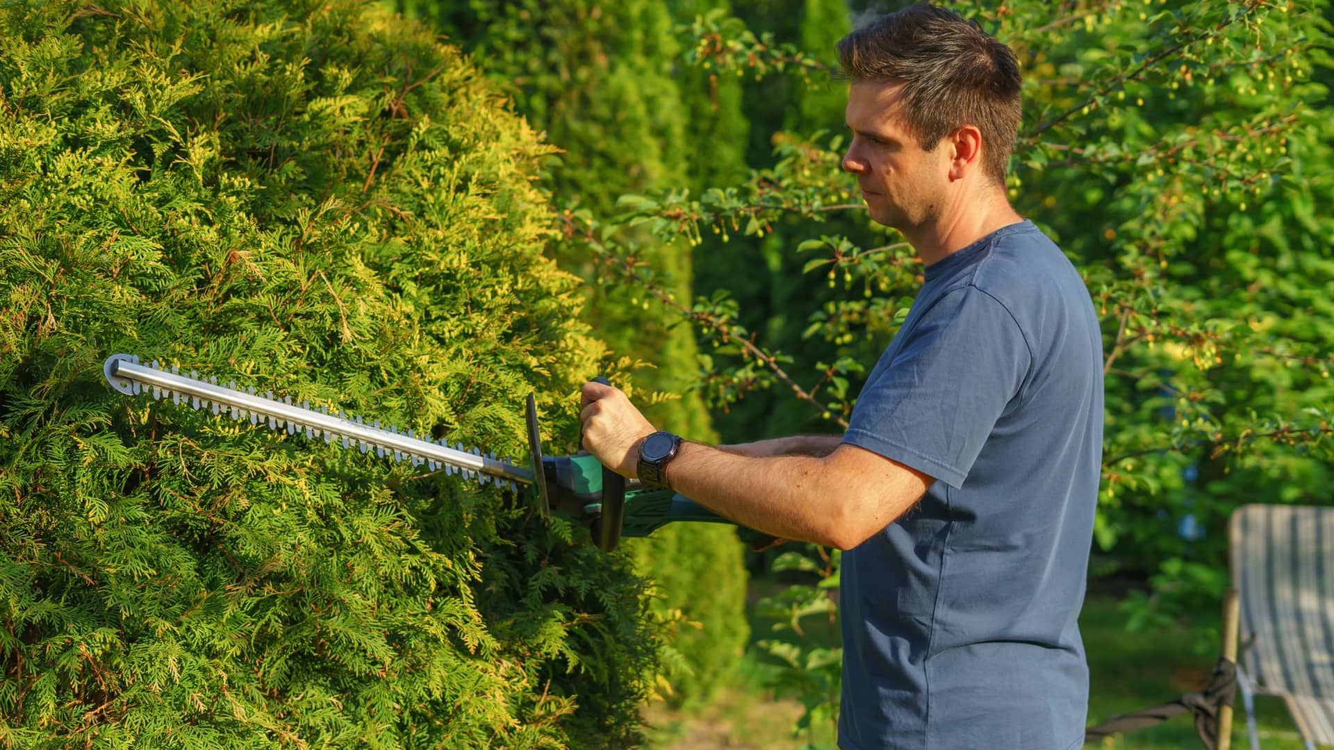 Taille de haies hautes et de cyprès en Seine-et-Marne · Vert Horizon 77
