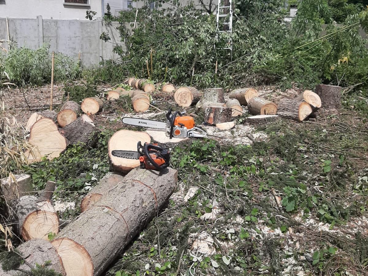 Billons de bois et tronçonneuses après un abattage