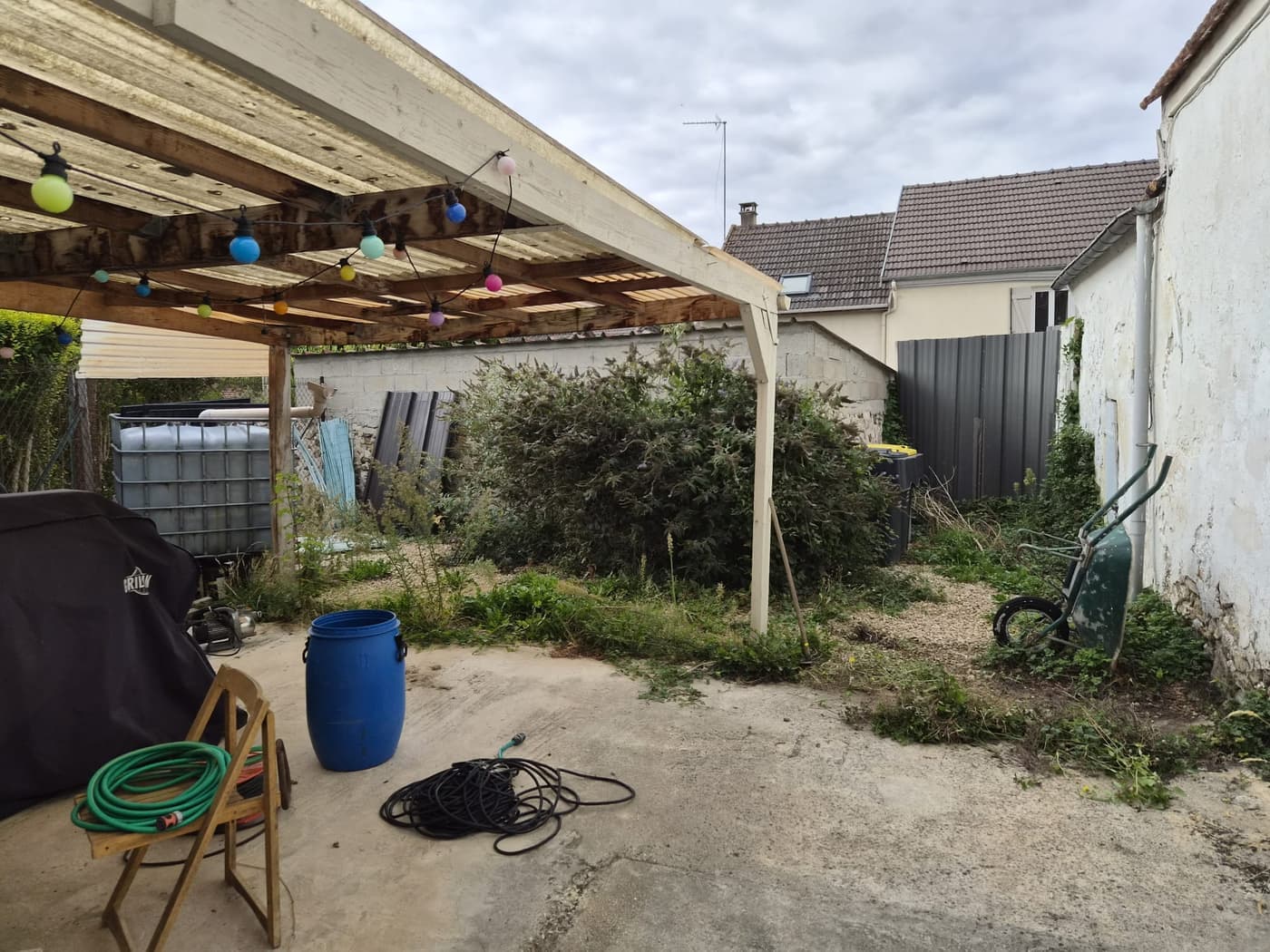 Cour envahie par la végétation avant intervention