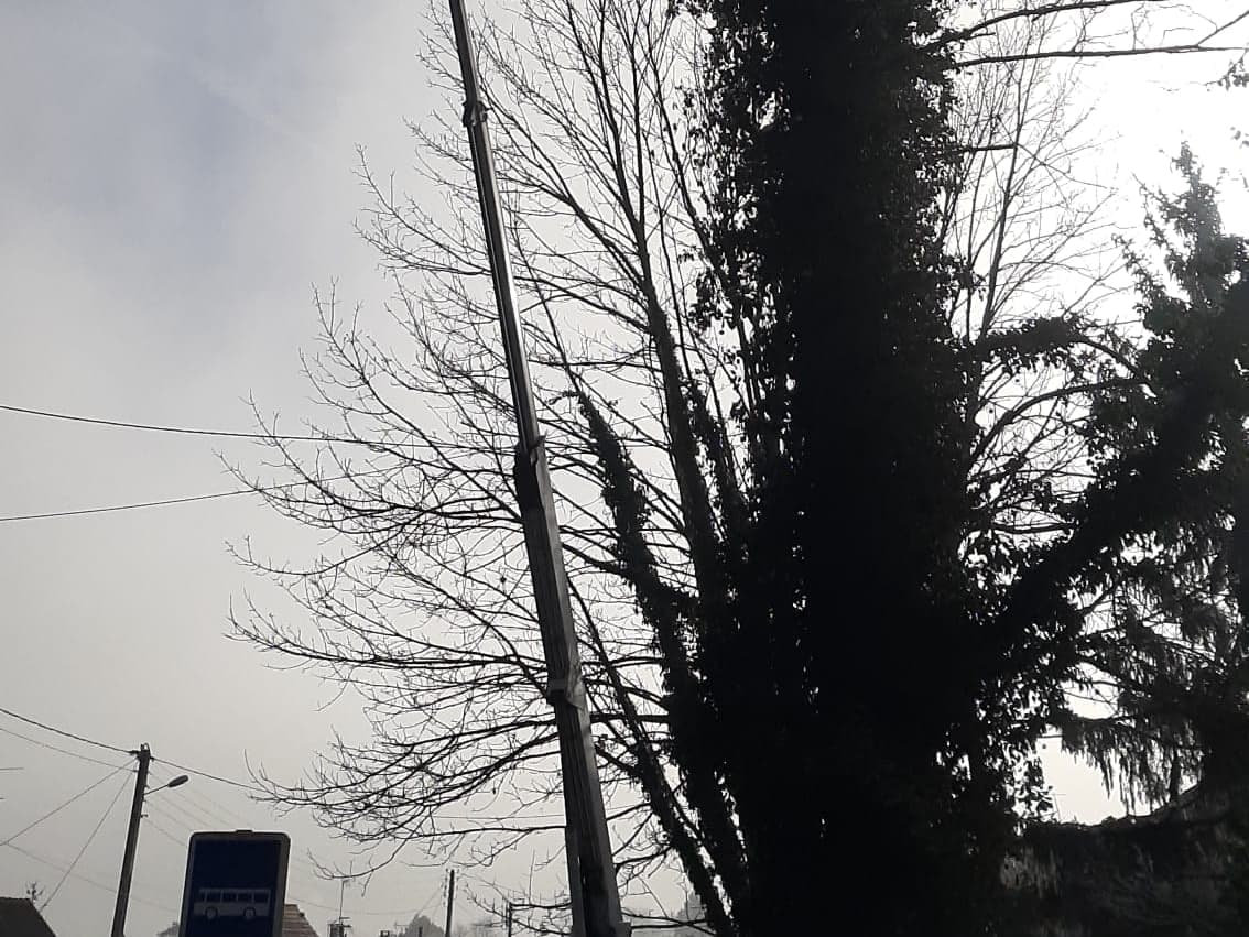 Élagueur au travail depuis le panier d'une nacelle