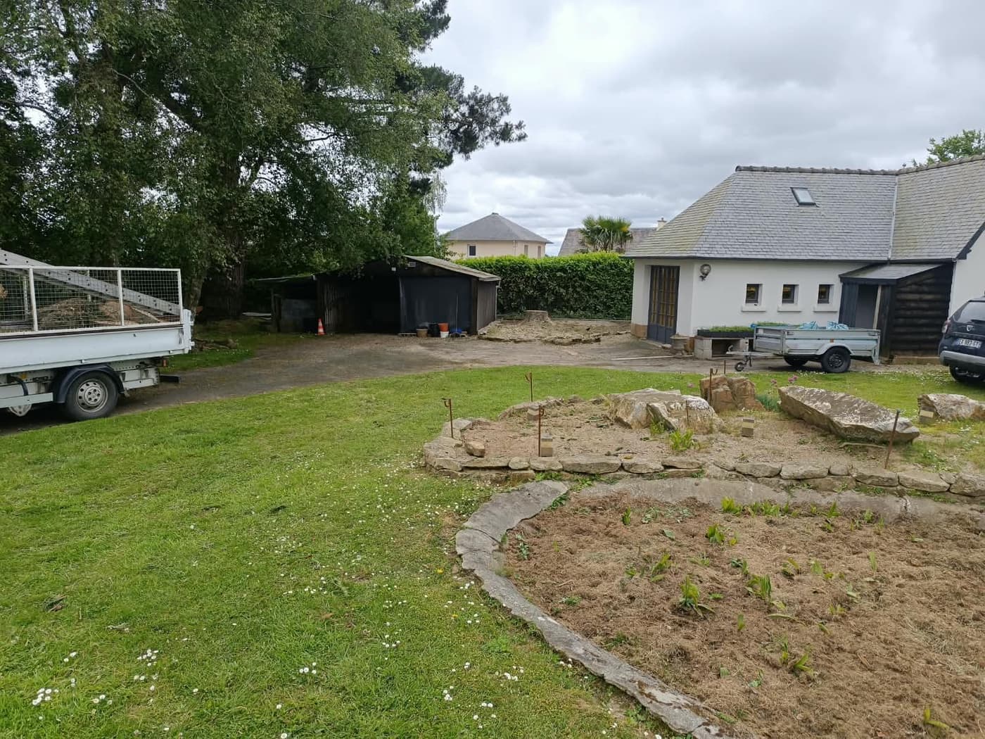 Jardin dégagé après l'abattage d'un grand conifère